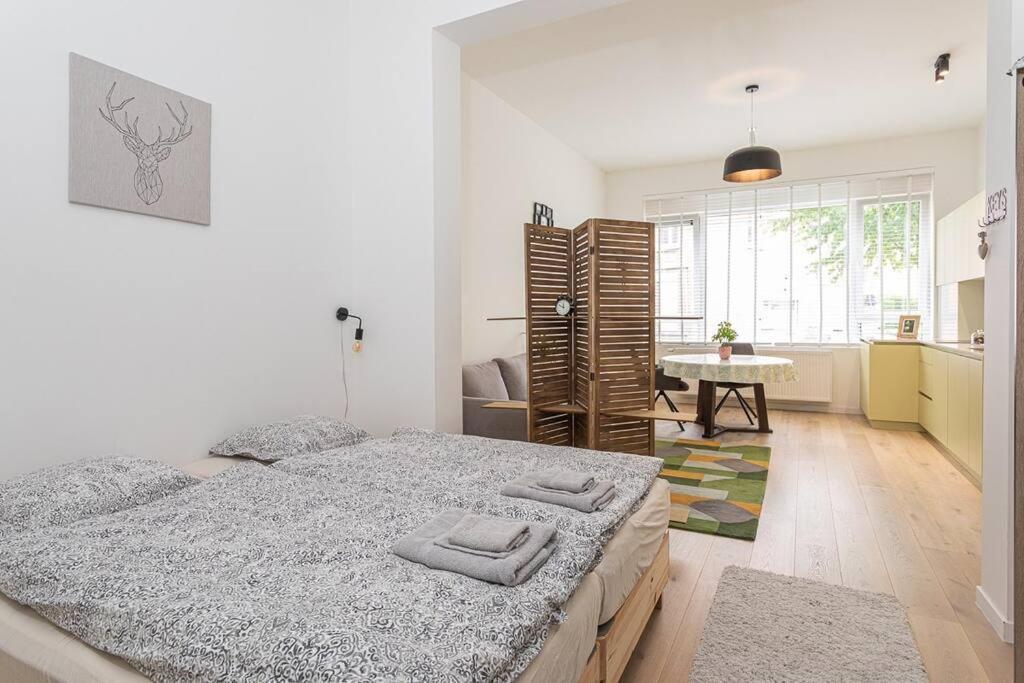 Apartment Beautiful Antwerp
